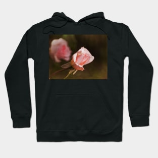 Painted Pink Rose Hoodie